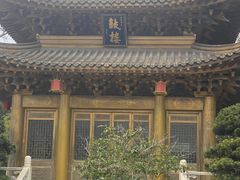 -上海东林寺(金山区)
