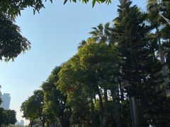 -白鹭洲公园