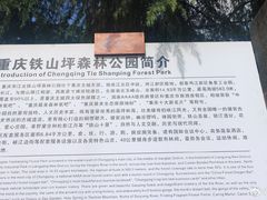 -铁山坪森林公园