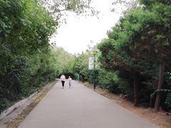 -府君山公园