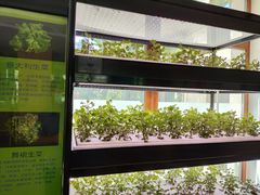 -首开寸草亚运村养老院
