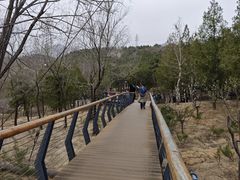 -白水寺森林公园