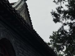 -洛阳白马寺