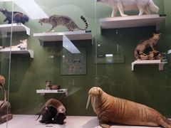 -国家自然博物馆