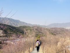 -定都阁