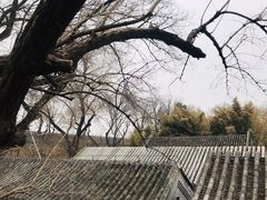 -恭王府博物馆