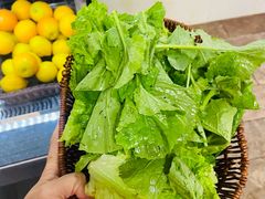 -山大王菌莊
