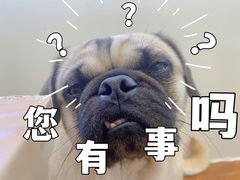 -喜柴咖啡·柴犬狗咖