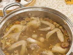 -百利鸽王(紫薇路店)