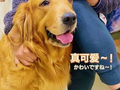 -阿荣24H宠物医院·综合型转诊中心·CT·核磁影像中心