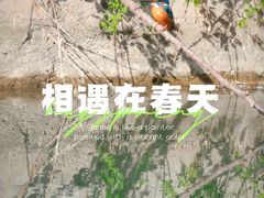 -颐和园