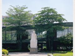 -广州中医药大学第一附属医院(总院)