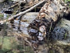 -碓臼峪自然风景区