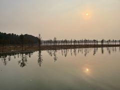 -上海海湾国家森林公园