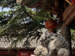-飞云楼