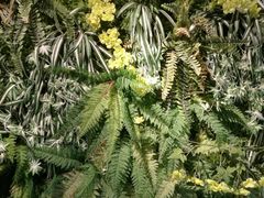 -南城十里潮汕鲜牛火锅·鲜虾生滚粥(融汇老商埠店)
