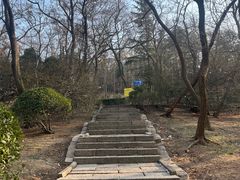 -观象山公园