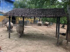 -西安秦岭野生动物园