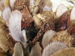 -北方饺子王·海肠捞饭·海鲜锅(山大店)