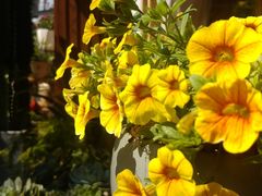 -阿昌白族石板烧(大理古城店)