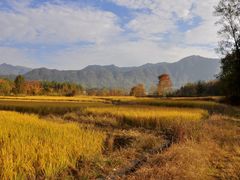 -塔川景区