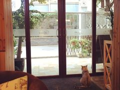 隅Cafe-隅cafe(傅厚岗店)
