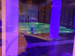 -上海滴水湖皇冠假日酒店