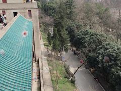 -武汉大学-樱园