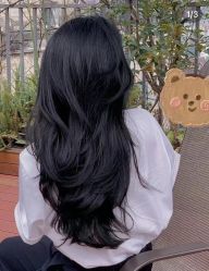 -Hair Code芭曲发型