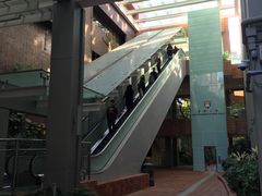 -香港大学