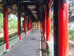 -兰山公园