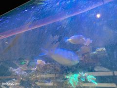 -暹罗酒肆泰餐厅酒吧