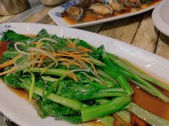 -渡海小渔村.老辈日照菜
