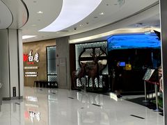 -新白鹿餐厅(虹桥南丰城店)