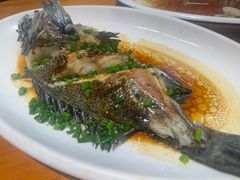 清蒸石斑-金海湾海鲜排档(朱家尖店)