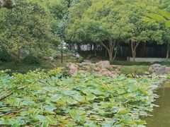 -秋霞圃