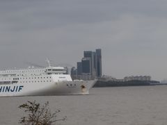 -上海滨江森林公园