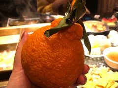 -王家渡火锅店(棕榈泉店)