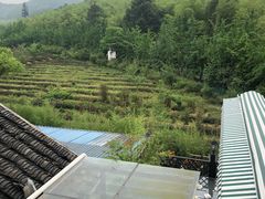 -旺山·浪头人家