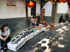 -后柳水乡