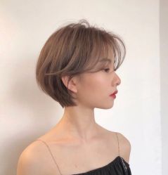 -IDOL-PLUS