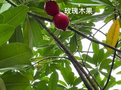 -广州神农草堂中医药博物馆