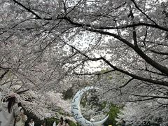 -杭州少年儿童公园