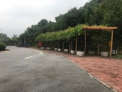-火炉山森林公园