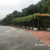 周边游|火炉山·一起去爬山吗？