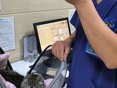 -北京观赏动物医院·24小时大型综合·猫专科·异宠专科