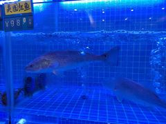 -启东小海鲜(庄先湾路1号店)
