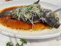 -大东海海鲜酒楼(渔人码头总店)