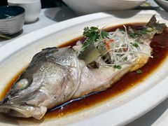 -映像威海·威海宴(威高广场店)