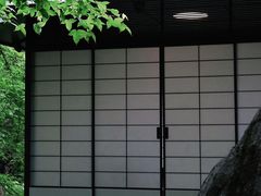 -中国茶叶博物馆(双峰馆区)